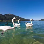 Hotel Seerose 4*