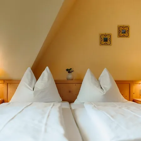Hotel Seerose 4*