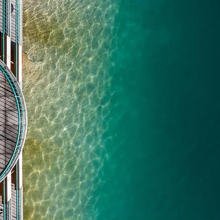 Seerose Fuschl am See