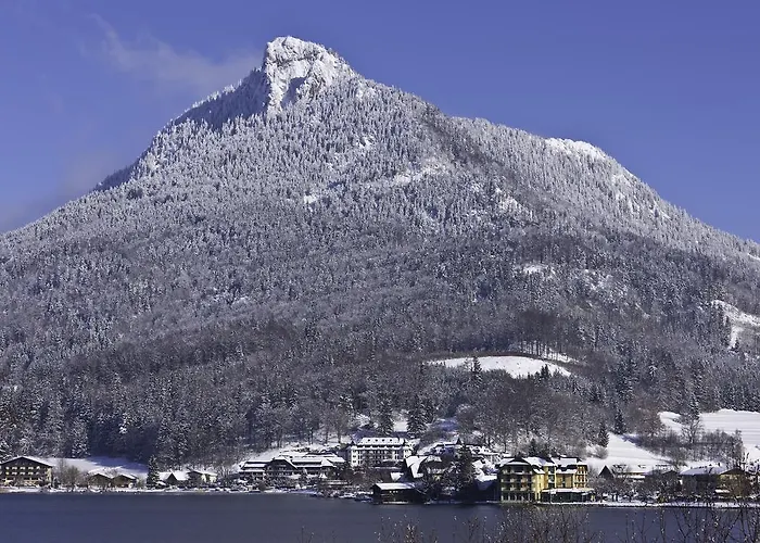 Seerose Fuschl am See